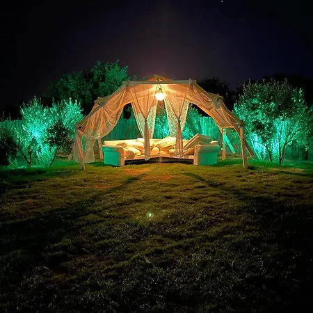 מלון Maia Hotel *